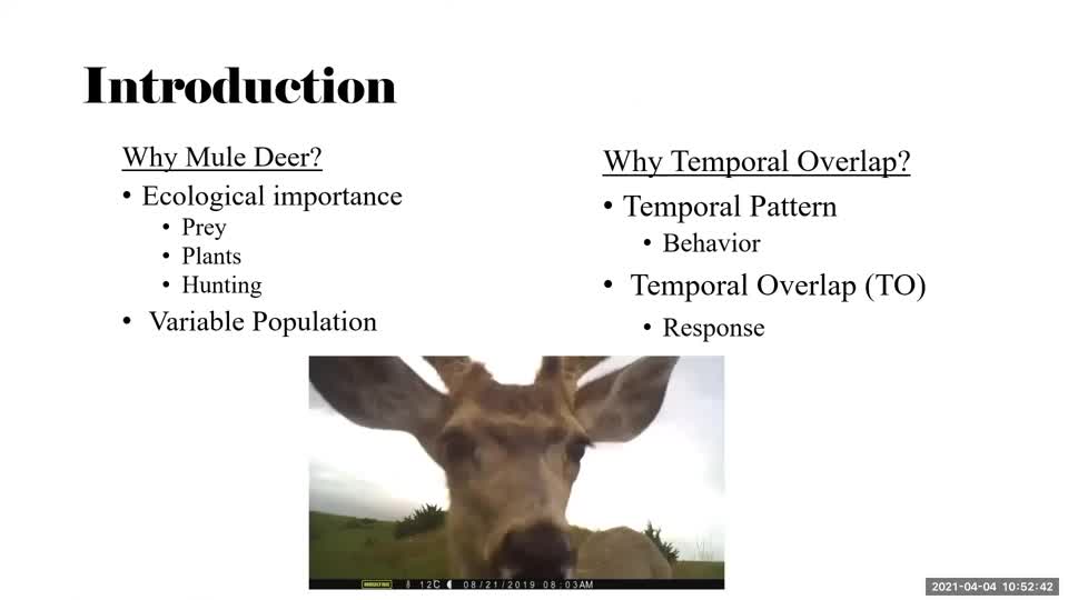 Temporal Overlap Between Deer and Their Predators Throughout Western Nebraska