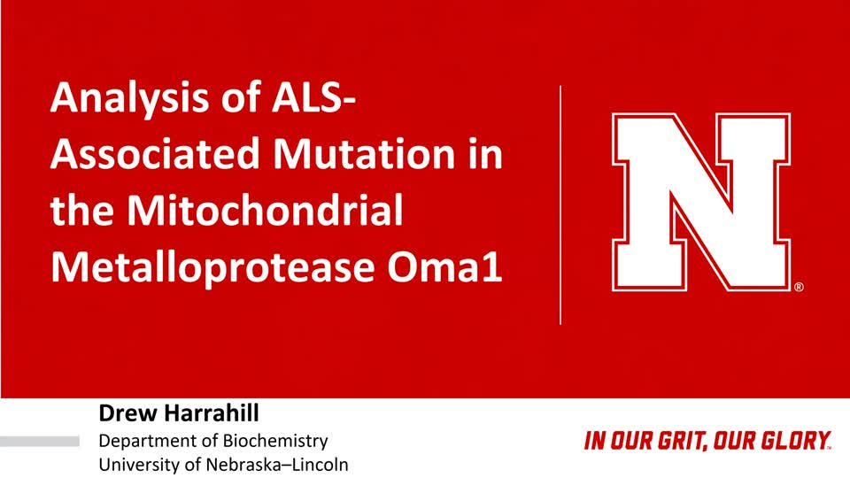 Analysis of ALS-Associated Mutation of the Mitochondrial Metalloprotease Oma1