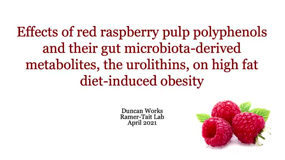 Effects of red raspberry pulp polyphenols and their gut microbiota-derived metabolites, the urolithins, on high fat diet-induced obesity