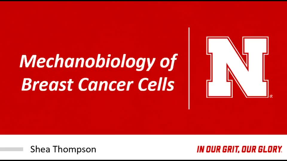 Shea Thompson Mechanobiology of Breast Cancer Cells