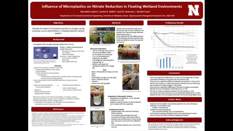 Influence of Microplastics on Nitrate Reduction in Floating Wetland Environments