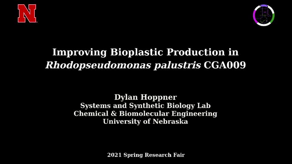 Improving Bioplastic Production in Rhodopseudomonas palustris CGA009