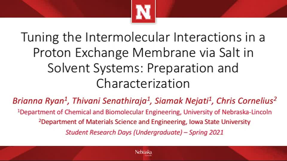 Tuning the Intermolecular Interactions in a Proton Exchange Membrane via Salt in Solvent Systems: Preparation and Characterization