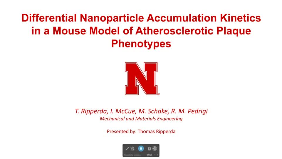 Differential Nanoparticle Accumulation Kinetics in a Mouse Model of Atherosclerotic Plaque Phenotypes