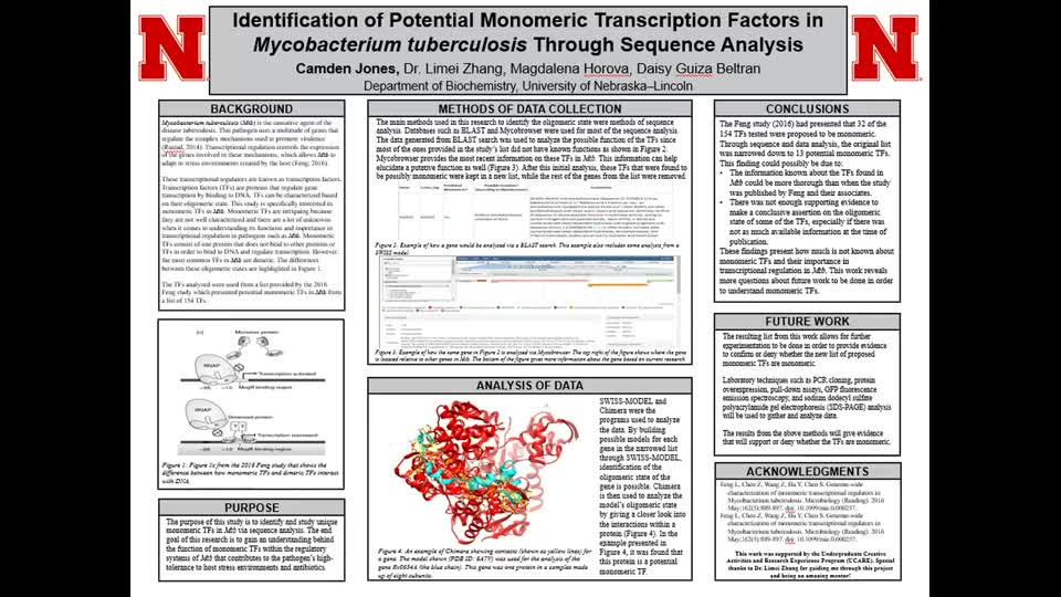 Identification of Potential Monomeric Transcription Factors in Mycobacterium tuberculosis Through Sequence Analysis