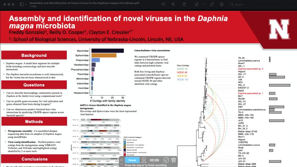 Assembly and identification of novel viruses in the Daphnia magna microbiota 