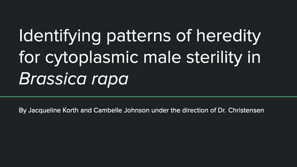 Identifying patterns of heredity for cytoplasmic male sterility in Brassica rapa 