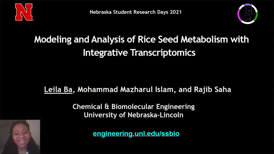 Modeling and Analysis of Rice Seed Metabolism with Integrative Transcriptomics 