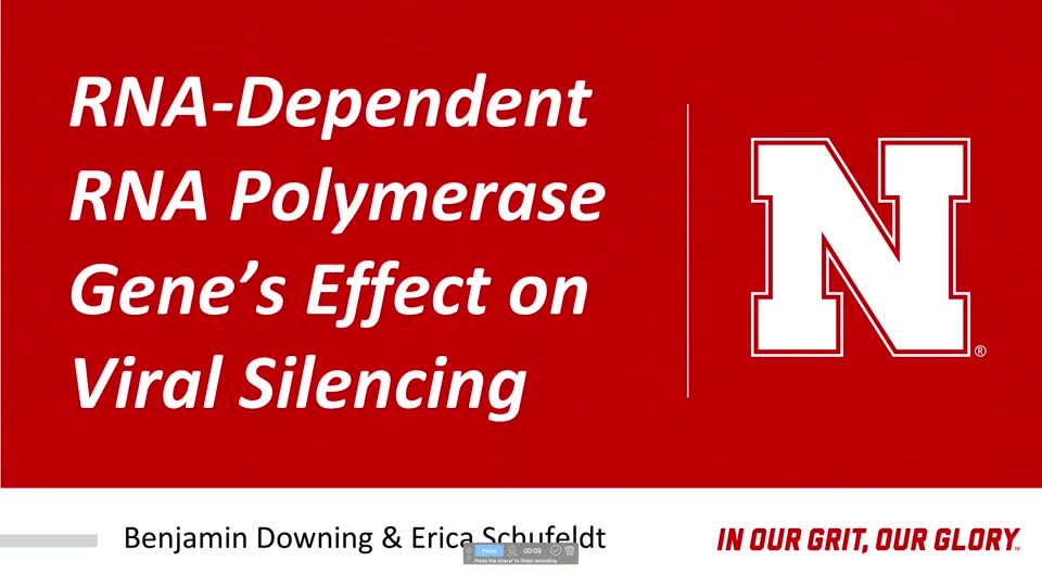 RNA-Dependent RNA Polymerase Gene's Effect of Viral Silencing