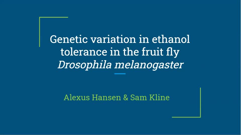Genetic variation in ethanol tolerance in the fruit fly Drosophila melanogaster