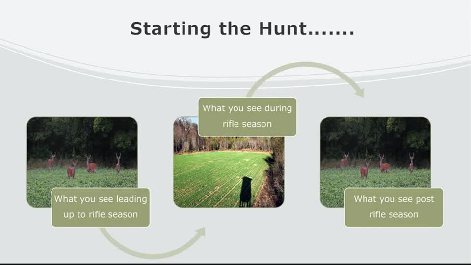 Evaluating the spatial ecology of white-tailed deer during the rifle hunting season in south central Nebraska