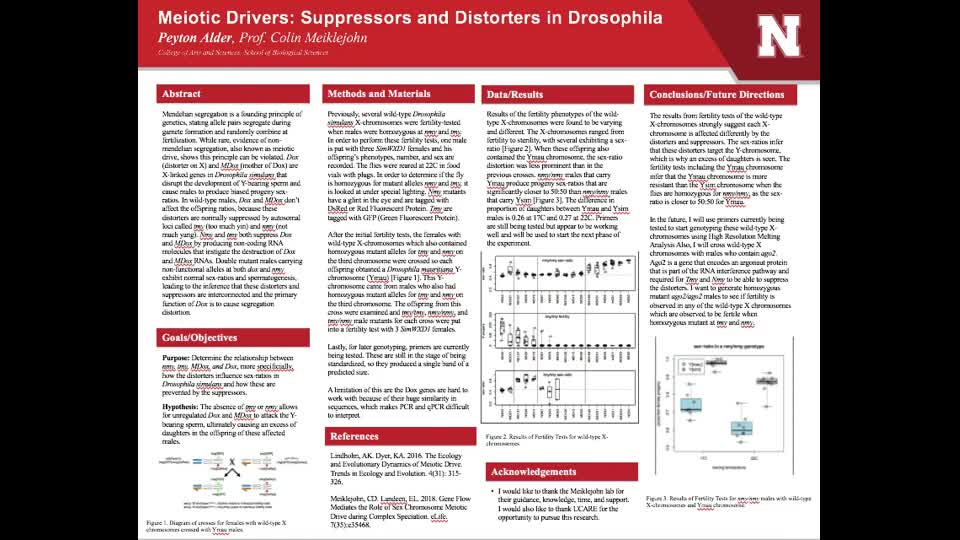 Meiotic Drivers: Suppressors and Distorters in Drosophila