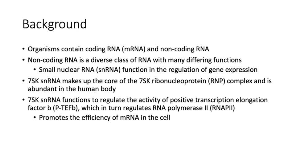 Chemical Mapping 7SK snRNA
