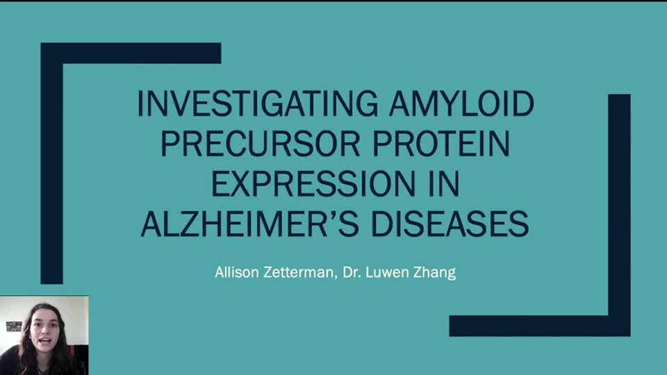 Investigating Amyloid Precursor Protein Expression in Alzheimer’s Diseases