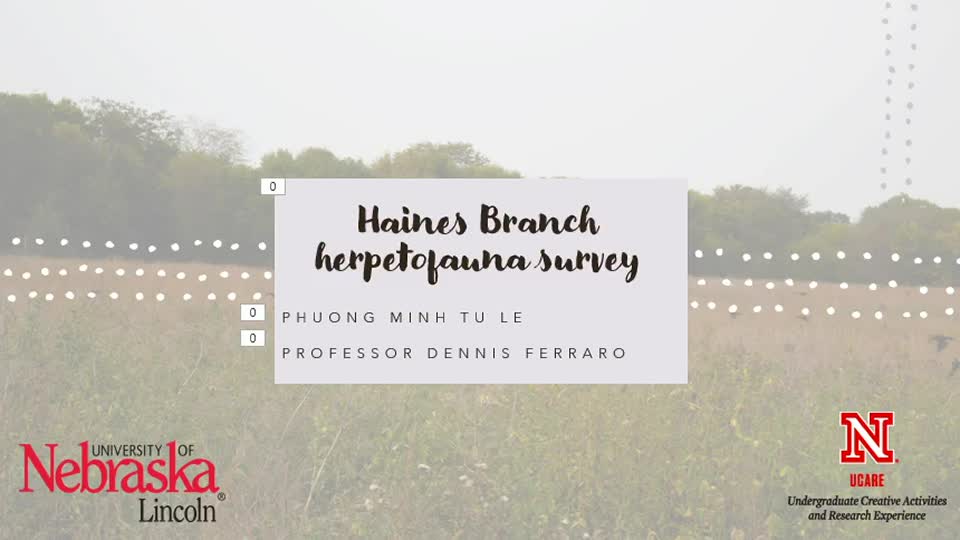 Haines Branch herpetofauna survey