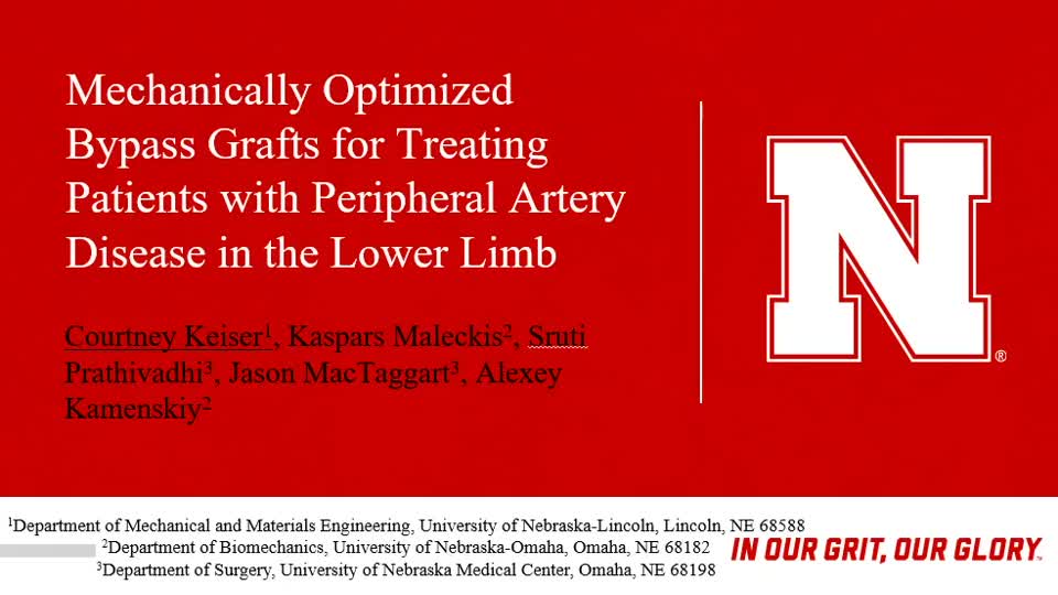 Mechanically Optimized Bypass Grafts for Treating Patients with Peripheral Artery Disease in the Lower Limb