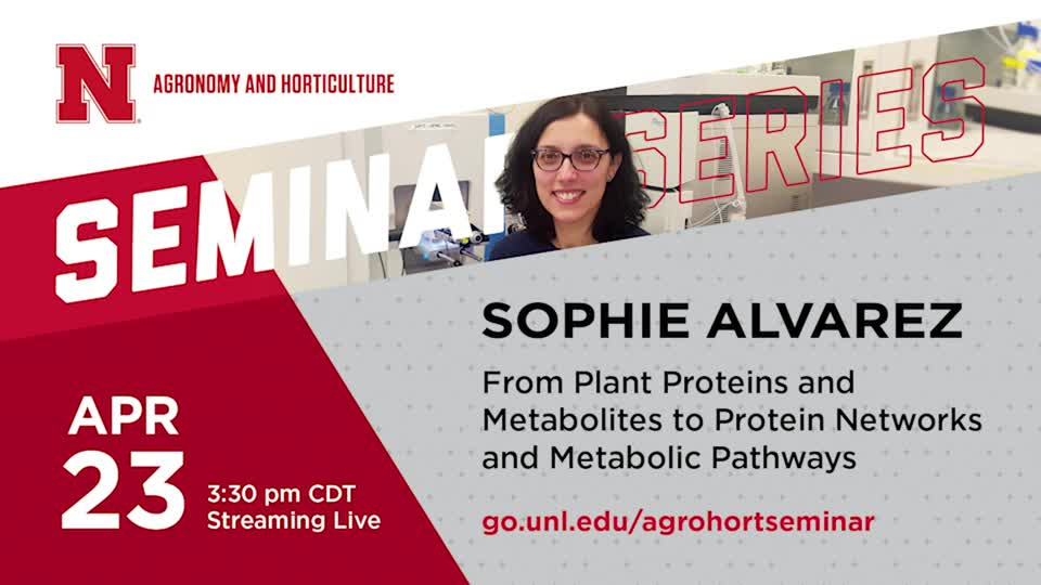 From Plant Proteins and Metabolites to Protein Networks and Metabolic Pathways 