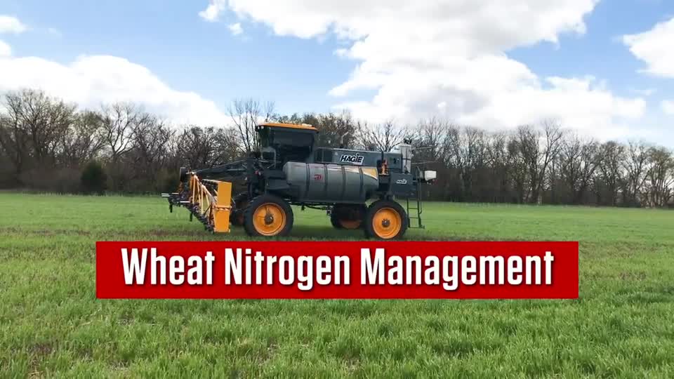 Field Day Nathan Mueller Wheat Nitrogen Management