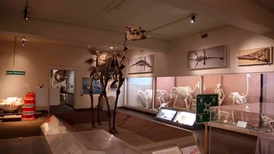State Museum Day