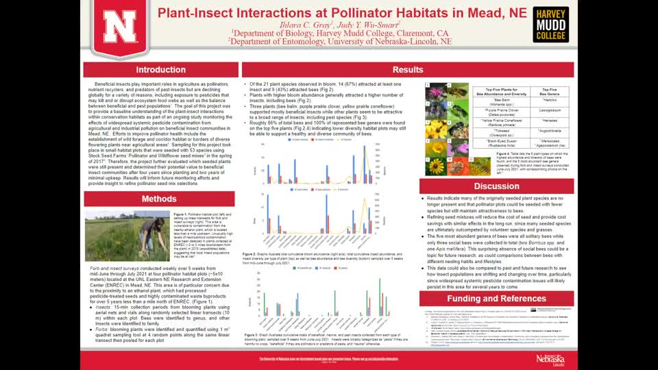 Plant-Insect Interactions at Pollinator Habitats in Mead, NE