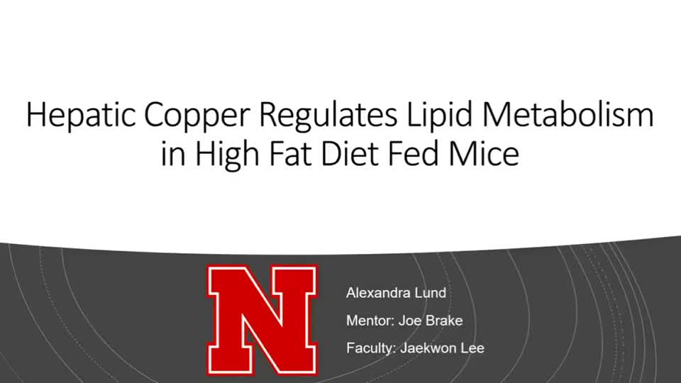 Hepatic Copper Regulates Lipid Metabolism in High Fat Diet Fed Mice