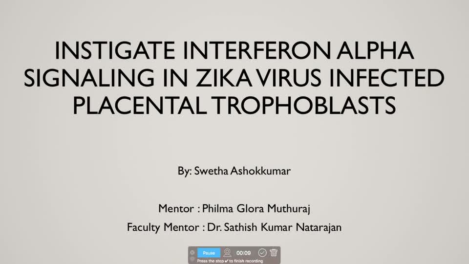 Instigate Interferon Alpha Signaling in Zika Virus Infected Placental Cells 