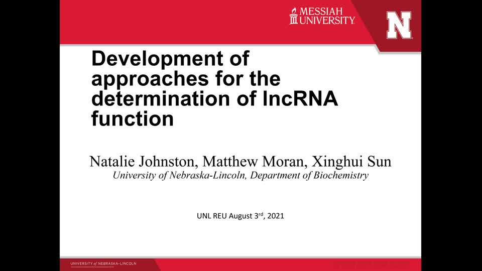 Developing a new approach for the determination of lncRNA function