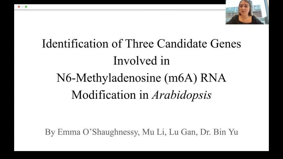 Identification of three candidate genes involved in N6-Methyladenosine (m6A) RNA modification in Arabidopsis