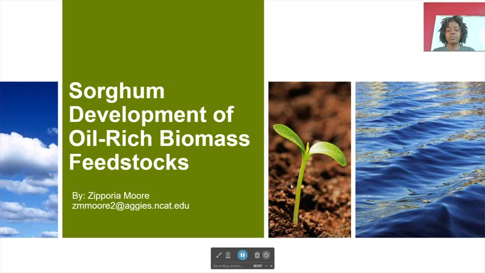Sorghum Development of Oil-Rich Biomass Feedstocks