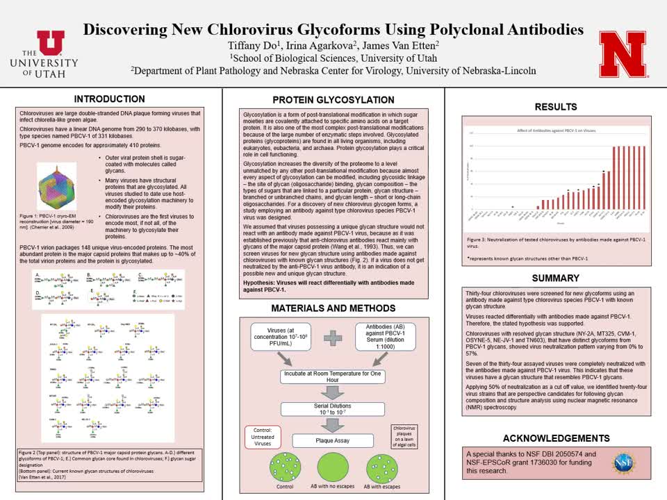 Discovering New Chlorovirus Glycoforms Using Polyclonal Antibodies