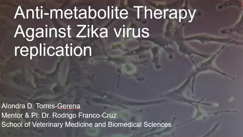 Anti-metabolite Therapy Against Zika virus replication 