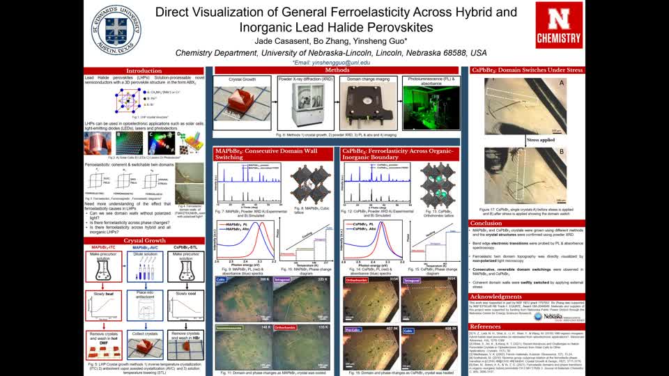 Direct Visualization of General Ferroelasticity Across Hybrid and Inorganic Lead Halide Perovskites