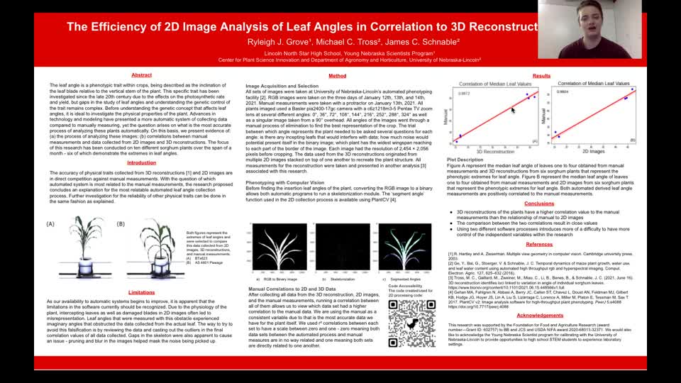 The Efficiency of 2D Image Analysis of Leaf Angles in Correlation to 3D Reconstruction in Sorghum
