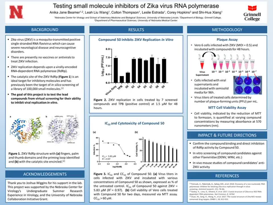 Testing small molecule inhibitors of Zika virus RNA polymerase