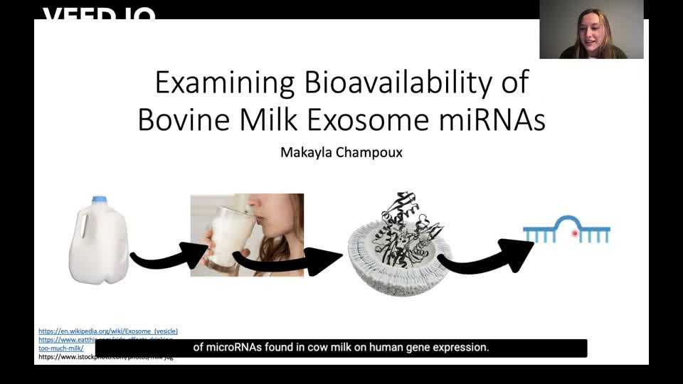 Examining Bioavailability of Bovine Milk Exosome miRNAs