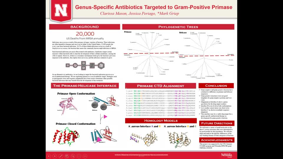 Genus-Specific Antibiotics Targeted to Gram-Positive Primase | MediaHub | University Nebraska-Lincoln