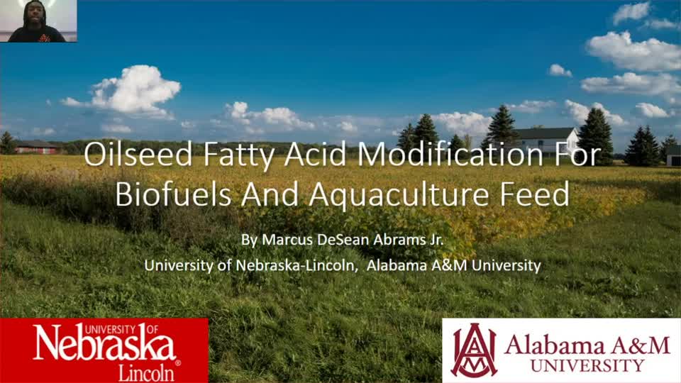 Oilseed Fatty Acid Modification For Biofuel And Aquaculture Feed