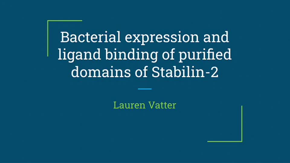 Bacterial expression and ligand binding of purified domains of Stabilin-2