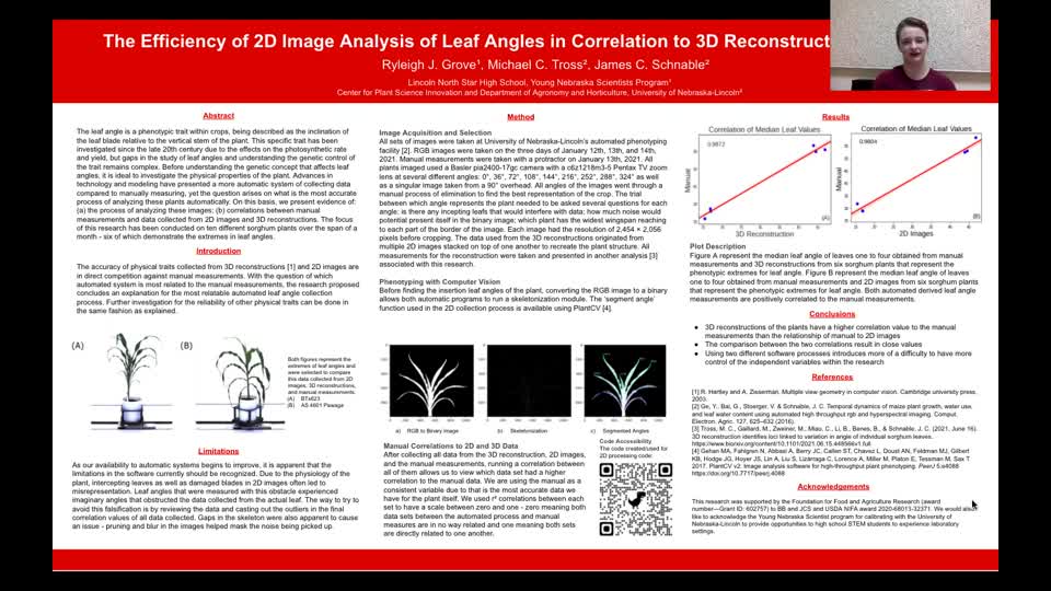 The Efficiency of 2D Image Analysis of Leaf Angles in Correlation to 3D Reconstruction