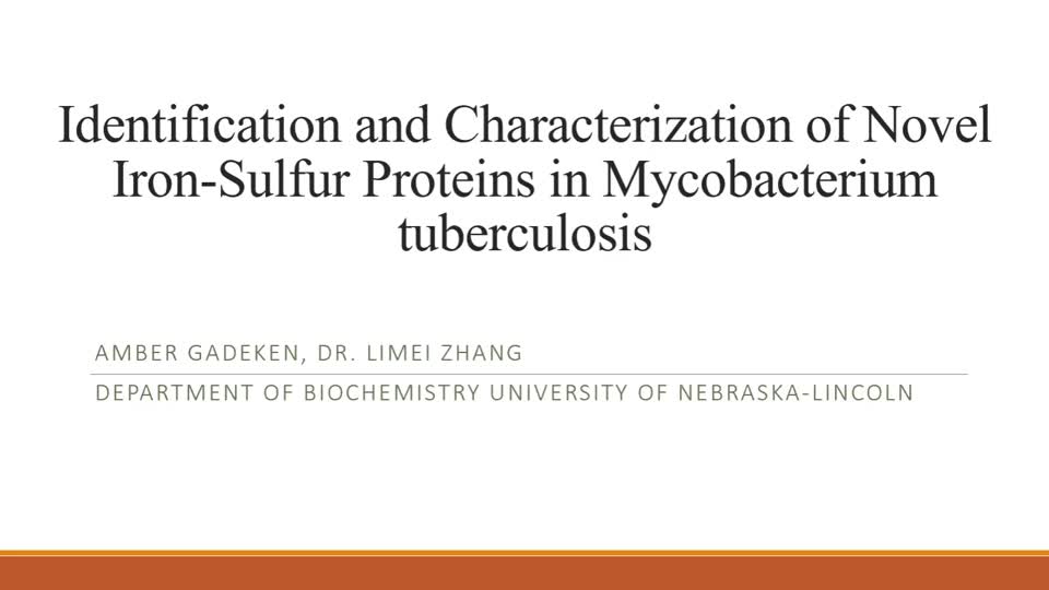 Identification and Characterization of Novel Iron-Sulfur Proteins in Mycobacterium tuberculosis