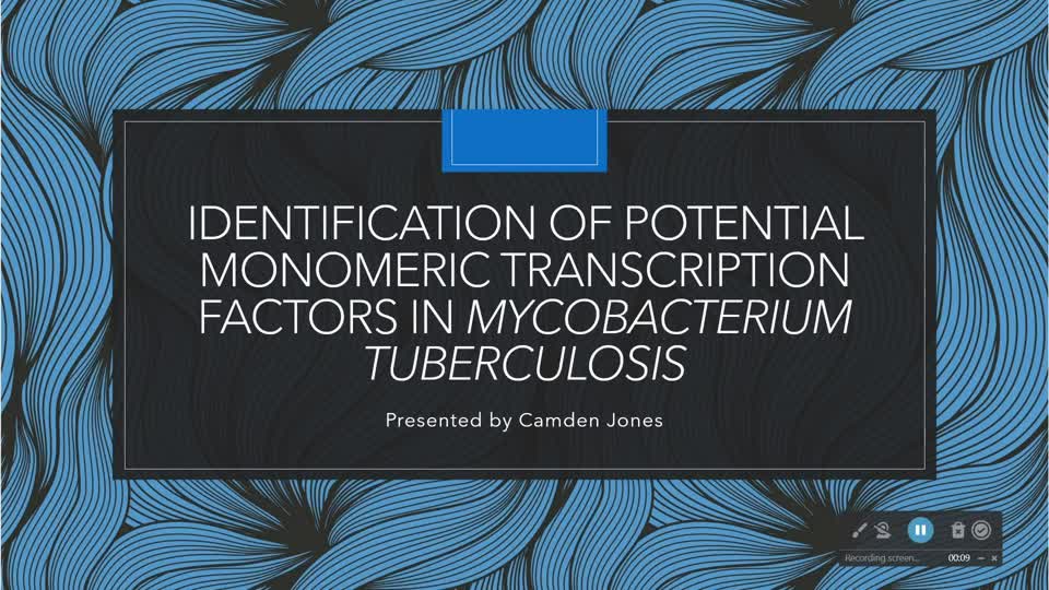 Identification of Potential Monomeric Transcription Factors in Mycobacterium tuberculosis