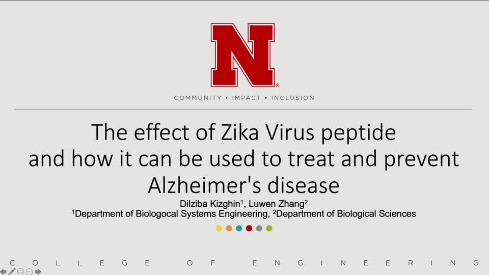 The effect of Zika Virus peptide and how it can be used to treat and prevent Alzheimer's disease