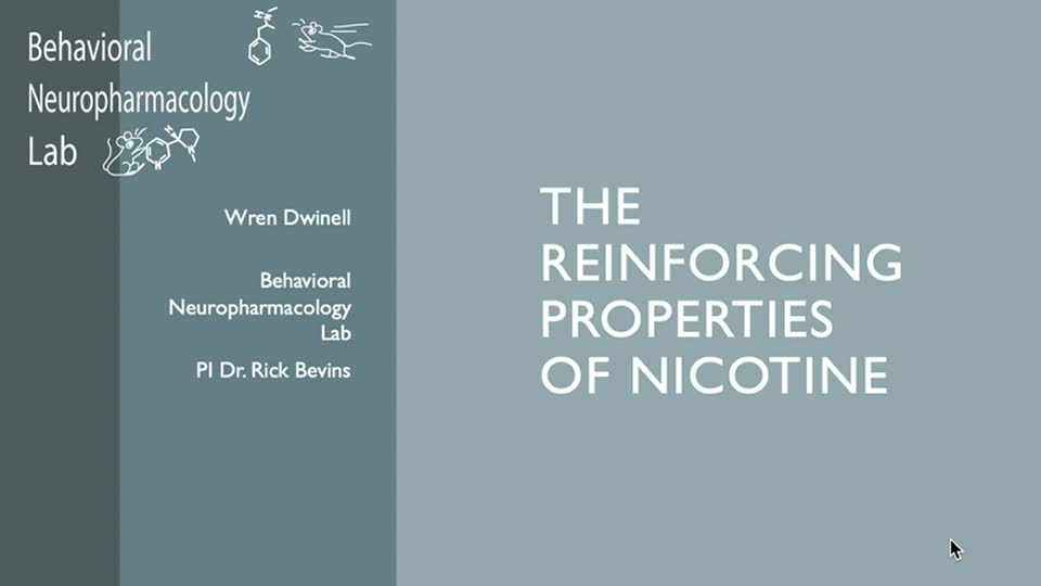 The Reinforcing Properties of Nicotine