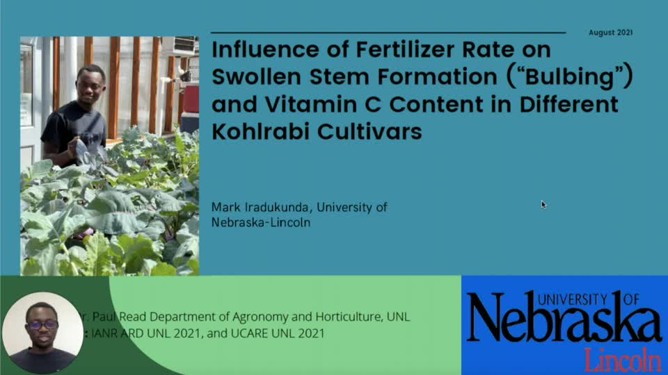 Influence of Fertilizer Rate on Swollen Stem Formation (“Bulbing”) and Vitamin C Content in Different Kohlrabi Cultivars