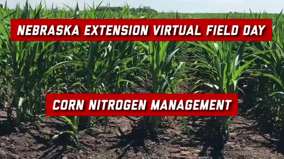 Corn Nitrogen Management Study