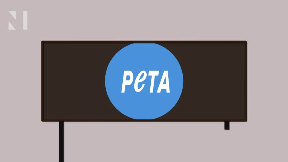 Proposed PETA Billboard Targets Ricketts