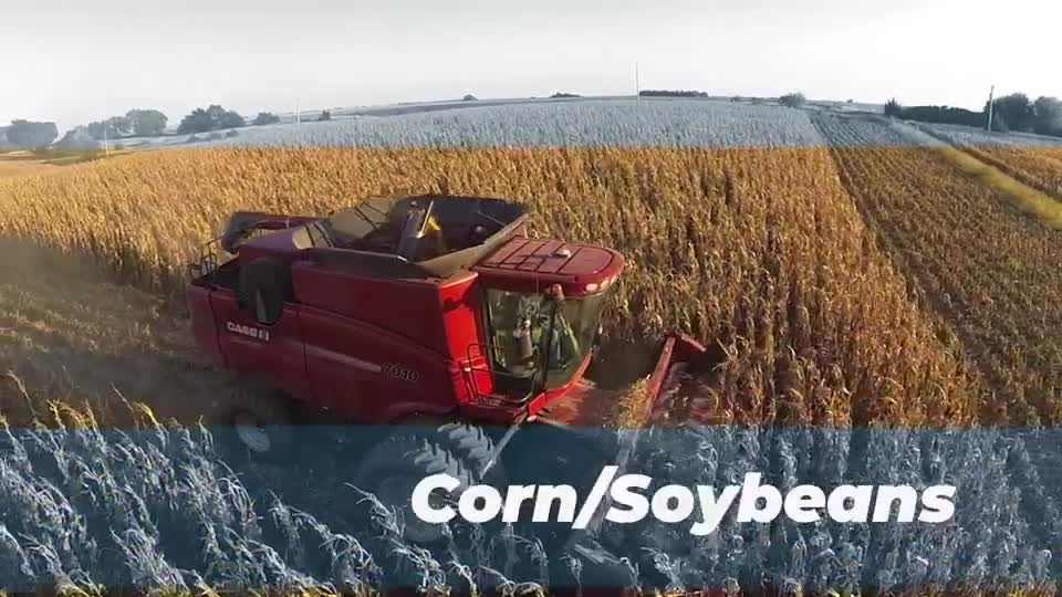 Nebraska 4-H "Aspects of Ag" - Corn and Soybeans