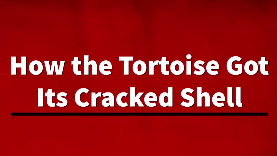 How the Tortoise Got Its Cracked Shell