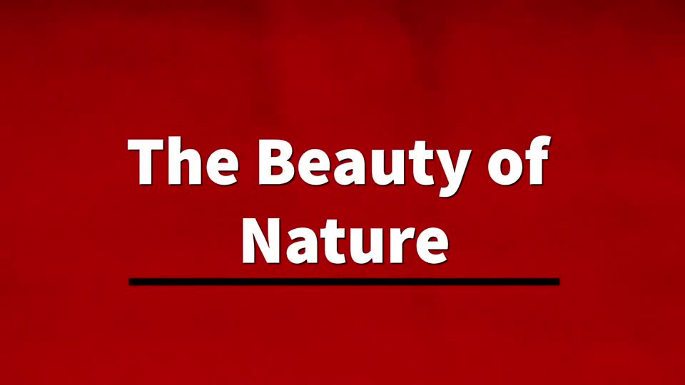 The Beauty of Nature