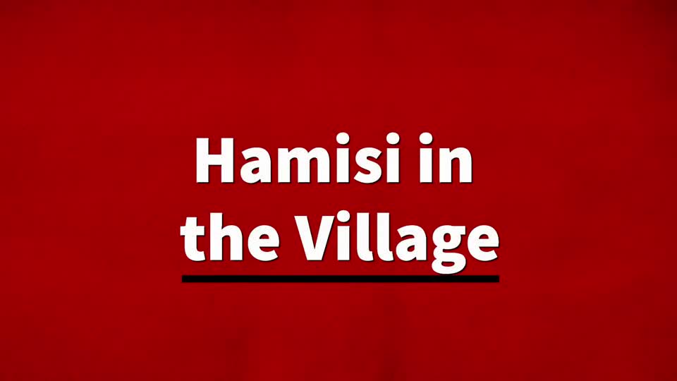 Hamisi in the Village